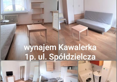 mieszkanie na wynajem - Głogów, Śródmieście